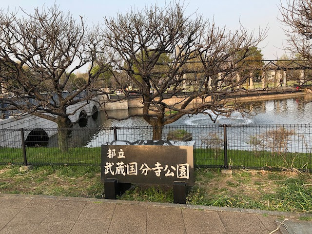 大きな池に都立武蔵国分寺公園の石碑がある