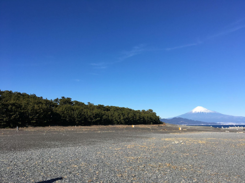 三保の松原から見た富士山の写真。