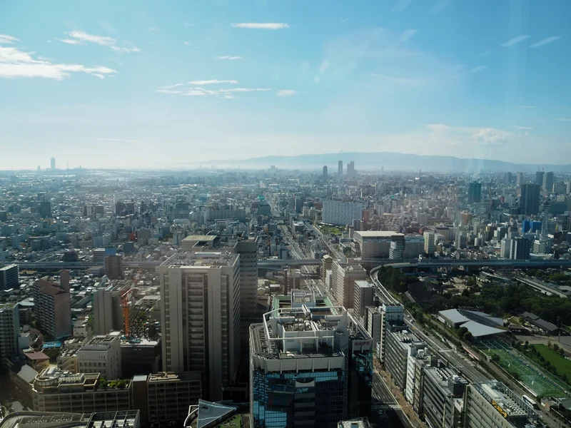 あべのハルカス29階から見た大阪の街並み。大小さまざまな建物が建ち並び、幹線道路が走っている。
